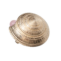 CASTLECLIFF SEA SHELLS: BEJEWELED SHELL BROOCH