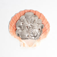 CASTLECLIFF EBB TIDE: MULTI SHELL BROOCH