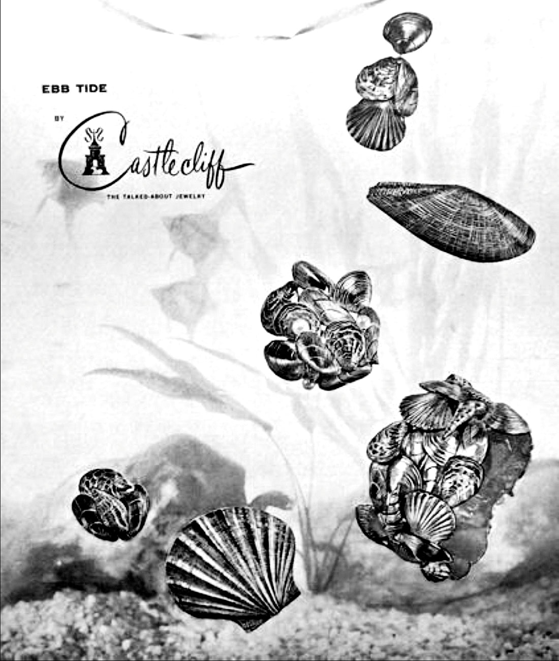 CASTLECLIFF EBB TIDE: MULTI SHELL BROOCH