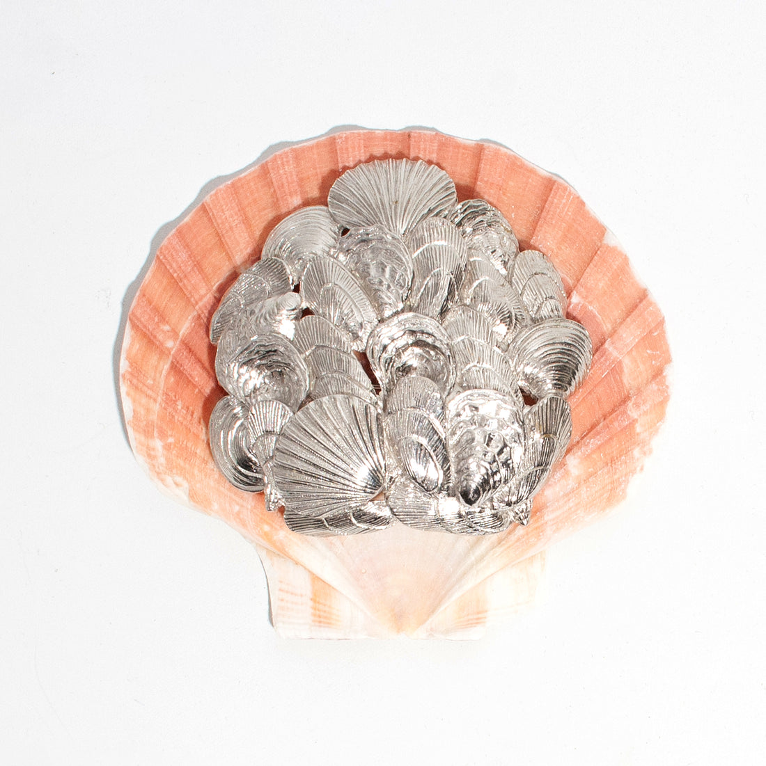 CASTLECLIFF EBB TIDE: MULTI SHELL BROOCH